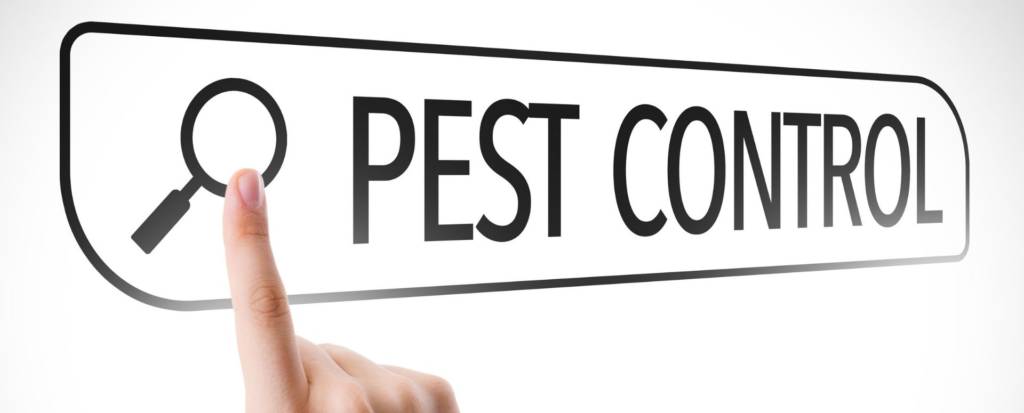 pest-control-northeast-england