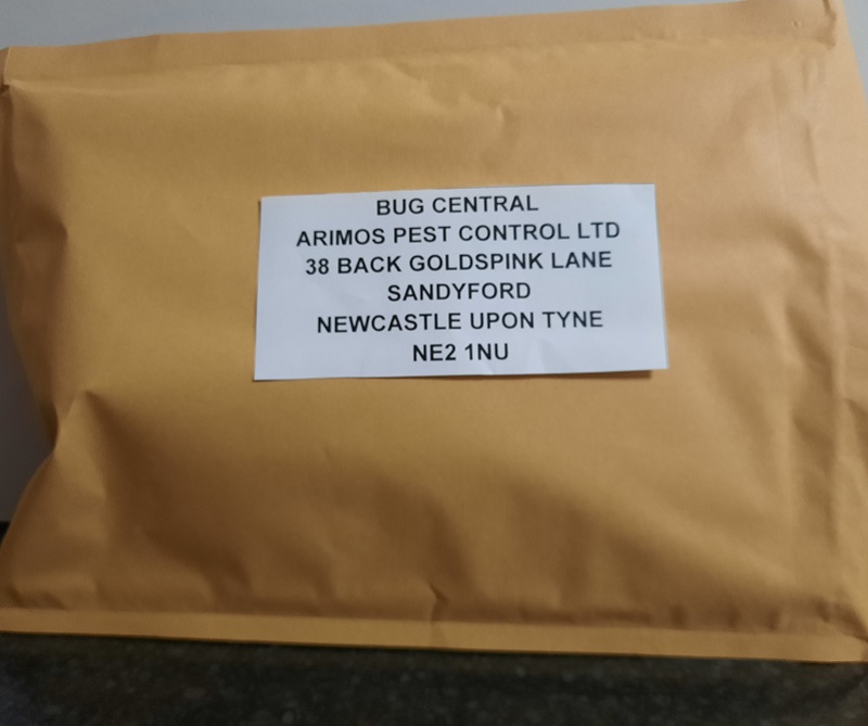 identify-insect-bug-arimos-pest-control