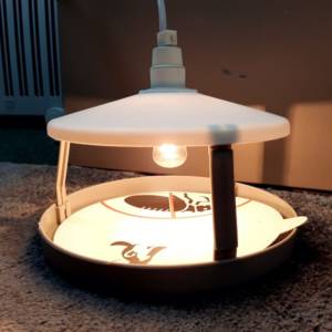 flea trap light to buy uk